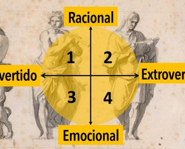 ¿Eres emocional, racional, introvertido o extrovertido? ¡Descúbrelo con este sencillo test!