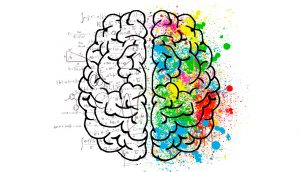 Cómo entrenar tu cerebro para ser más creativo