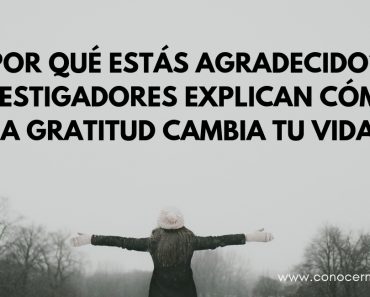 ¿Por qué estás agradecido? Investigadores explican cómo la gratitud cambia tu vida