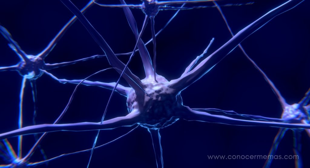 Prueba científica de que el mindfulness (atención plena) puede volver a conectar tu cerebro
