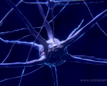 Prueba científica de que el mindfulness (atención plena) puede volver a conectar tu cerebro