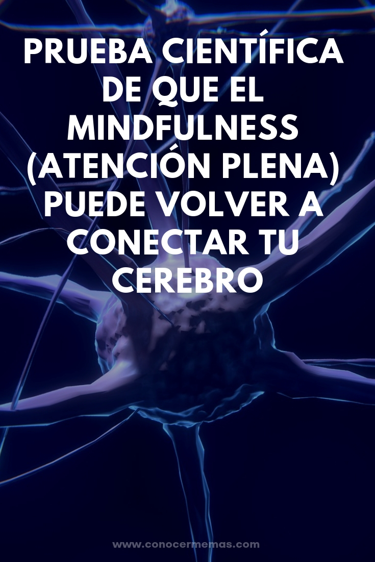 Prueba científica de que el mindfulness (atención plena) puede volver a conectar tu cerebro