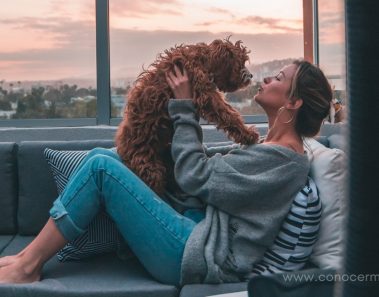 5 maneras en que los animales pueden mejorar tu vida
