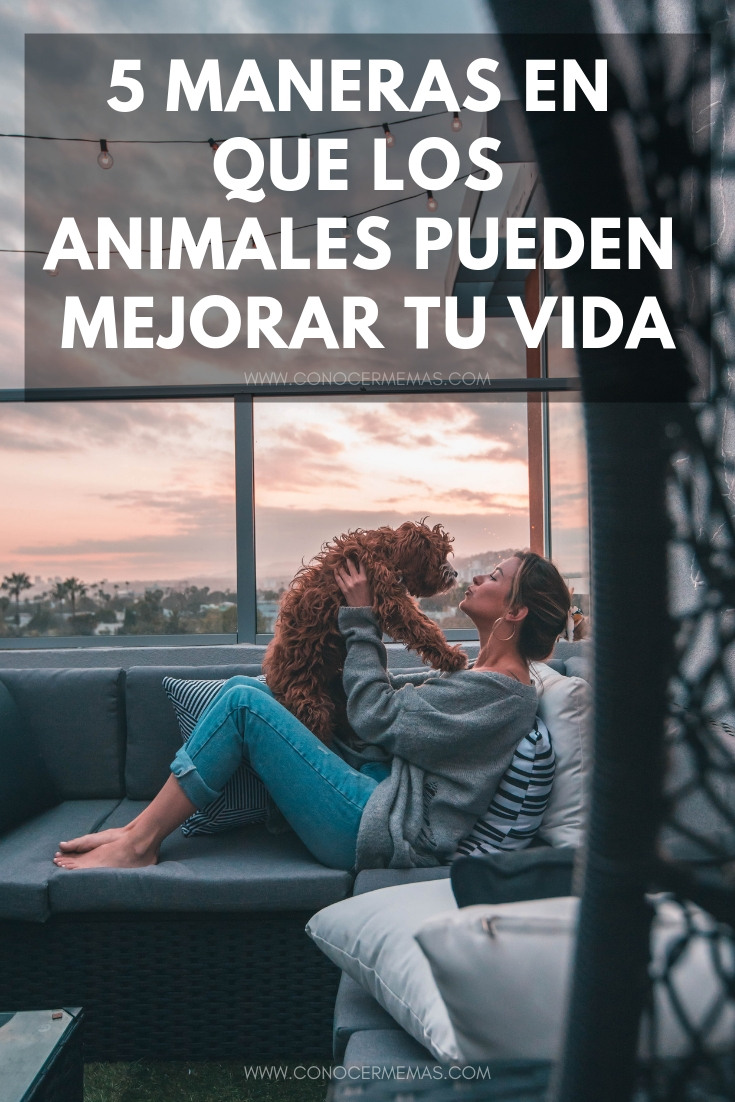 5 maneras en que los animales pueden mejorar tu vida 1