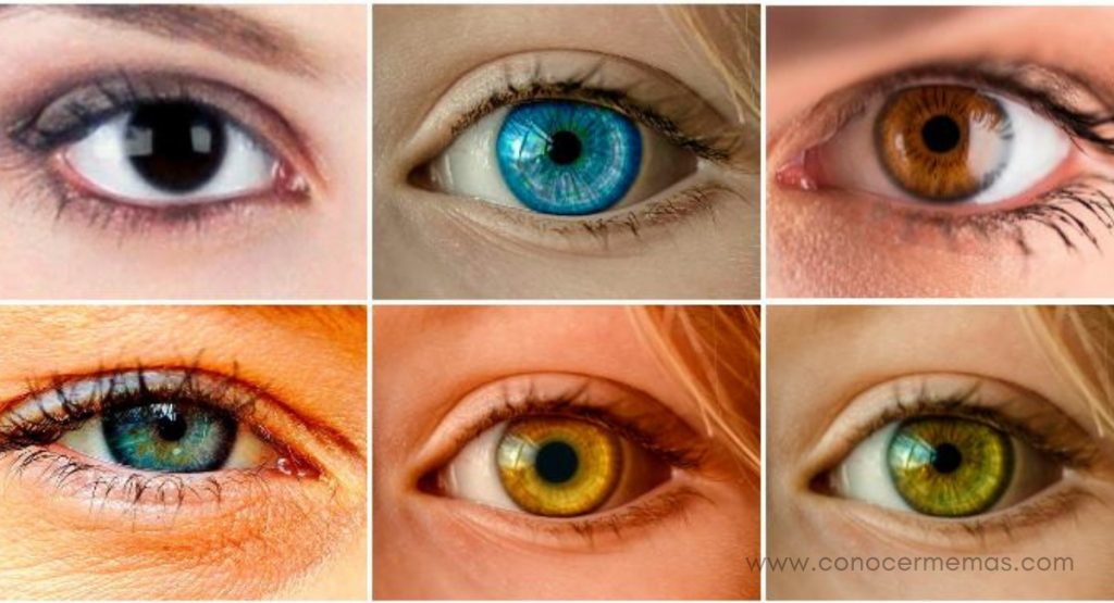 Científicos dicen que el color de tus ojos puede decir mucho sobre tu personalidad