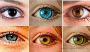 Científicos dicen que el color de tus ojos puede decir mucho sobre tu personalidad