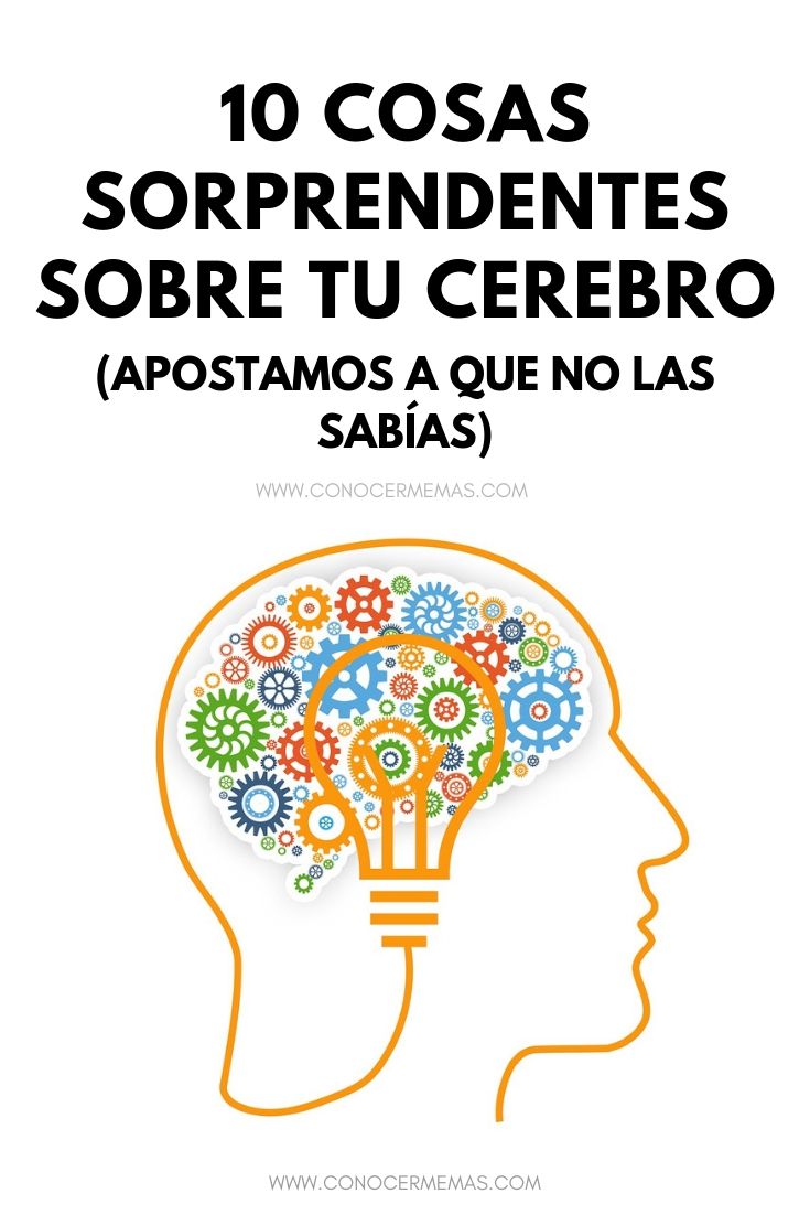 10 Cosas sorprendentes sobre tu cerebro, apostamos a que no las sabías