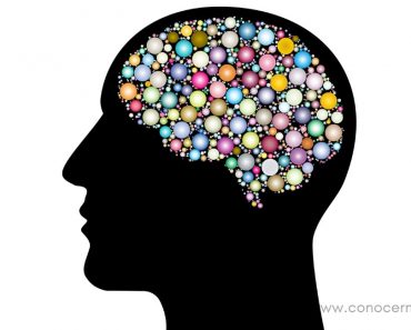 11 Secretos para reforzar el cerebro de un campeón de la memoria