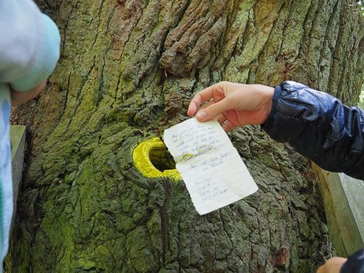 Este árbol en Alemania podría ayudarte a encontrar a tu alma gemela