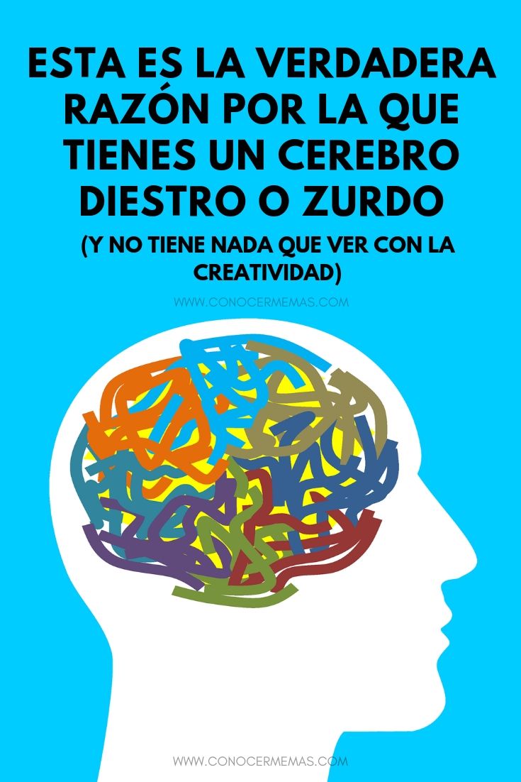 Esta es la verdadera razón por la que tienes un cerebro diestro o zurdo, y no tiene nada que ver con la creatividad