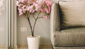 7 ideas para crear un ambiente de paz en tu hogar