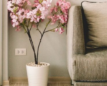 7 ideas para crear un ambiente de paz en tu hogar