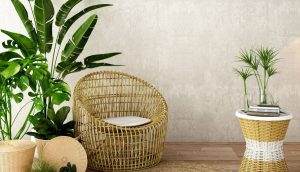 Feng Shui: 11 plantas de la suerte y dónde ponerlas en tu casa