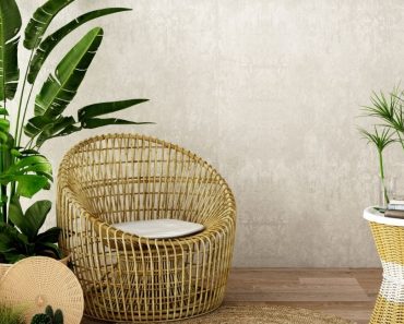 Feng Shui: 11 plantas de la suerte y dónde ponerlas en tu casa