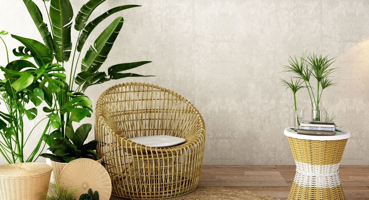 Feng Shui: 11 plantas de la suerte y dónde ponerlas en tu casa